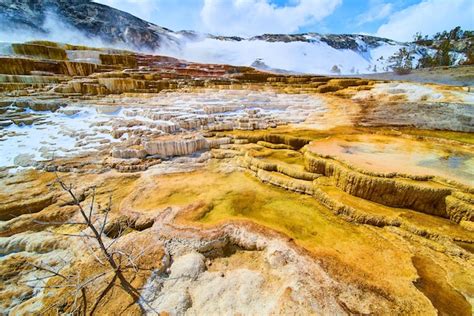 Premium Photo | Stunning landscape of yellowstone hot springs with ...