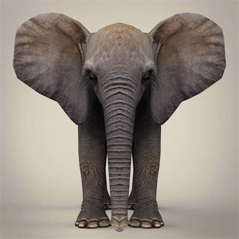 Baby Elephant 3d Model By Treeworld3d