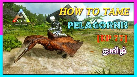 HOW TO TAME PELAGORNIS ARK MOBILE TAME SERIES EP 77 MR RAPTOR