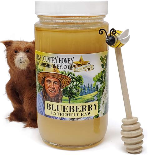 Goshen Amish Country Honey Dandelion Extremely Raw Honey