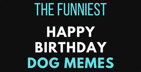 Happy Birthday Dog Memes - Funniest Ever! - AnQuotes.com