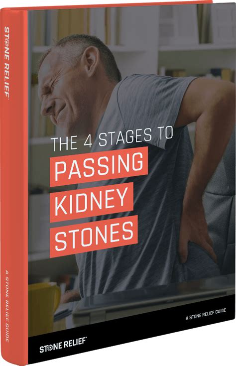 4 Stages To Passing Kidney Stones Artofit