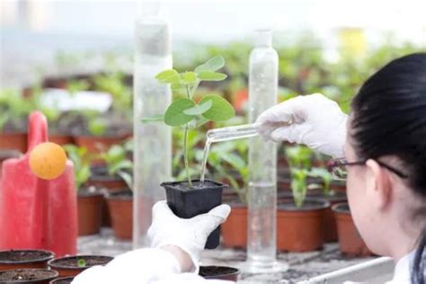 Qué es la botánica y qué estudia Descúbrelo aquí