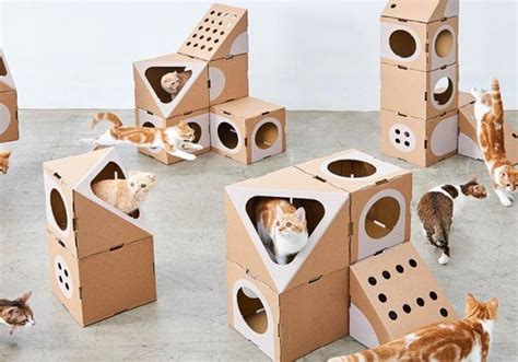 Jeu De Construction Cette Maison Pour Chats Est Le R Ve De Tous Les