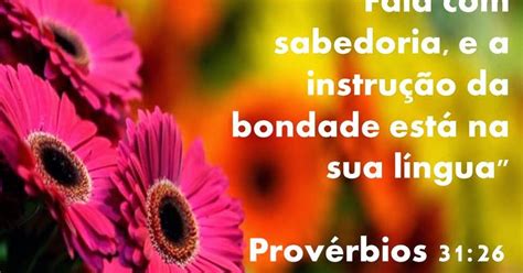 Provérbios 3126 Agorasomospais