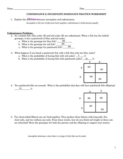 Codominancesmily Doc Name Practice Codominance And Incomplete