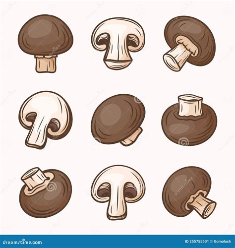 Vector Hand Drawn Brown Champignon Set Cartoon Champignon Mushrooms