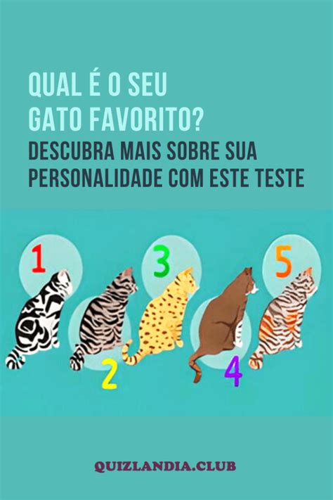 Qual O Seu Gato Favorito Descubra Mais Sobre Sua Personalidade