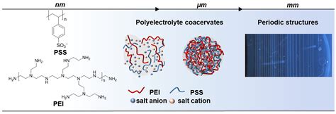 Non Enzymatic Oligonucleotide Ligation In Coacervate Off