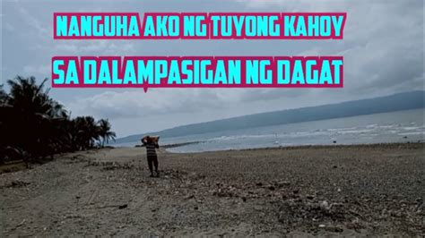 Nanguha Ako Ng Tuyong Kahoy Sa Dalampasigan Ng Dagat Youtube