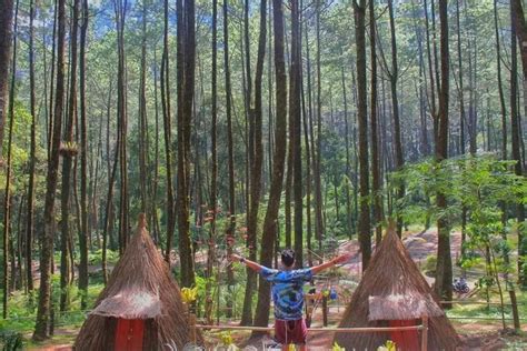 Mengenal Taman Hutan Raya Alias Tahura Karanganyar Yang Terletak Di