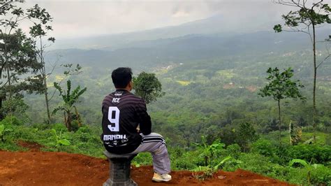 Tanaman Hias Di Puncak Joho Mini Ranch Sapi Pasundan YouTube