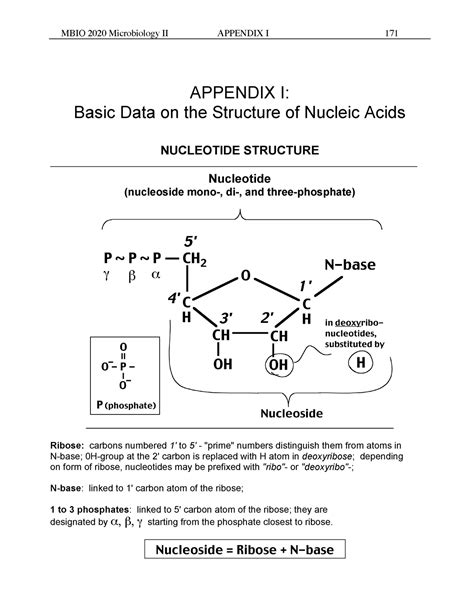 Mbio Module Lecture Notes Mbio Microbiology Ii