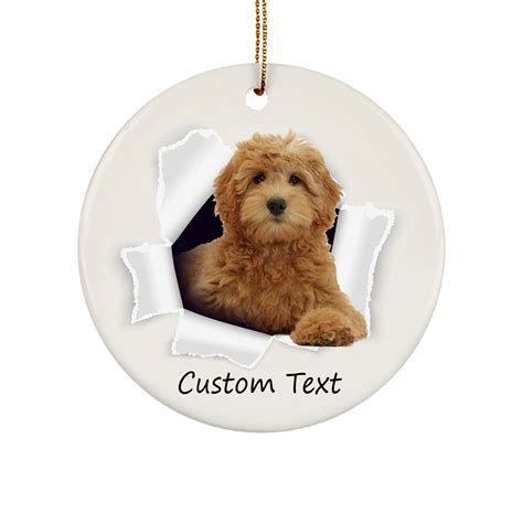 Personalized Name Goldendoodle Ornaments for Christmas Tree - Goldendoodle Gifts - Star