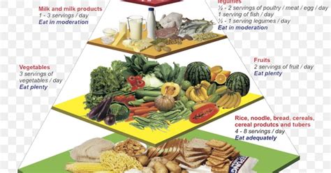 Malaysian Food Pyramid 2017 The Malaysian Food Pyramid Is Currently