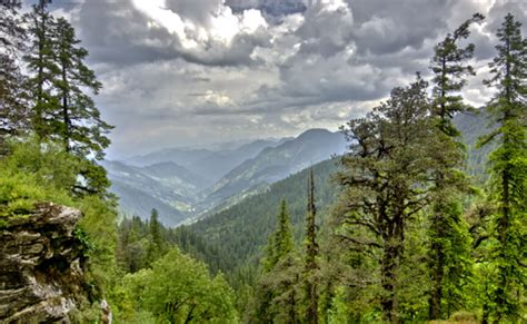 Jalori Pass Trek | Trekking in Tirthan Valley in Himachal Pradesh