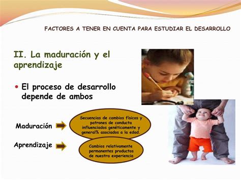 Ppt Psicologia Del Desarrollo Powerpoint Presentation Free Download Id 911384