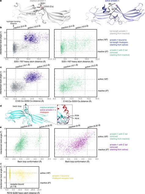 Conformational Changes At Il And Il Interfaces Correlate With