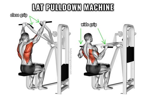 Close Grip Pulldowns Muscles Worked