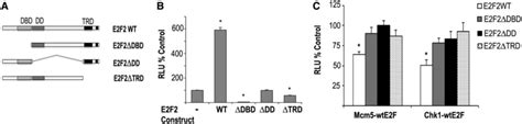Structural domains involved in activation and repression mediated by ... 