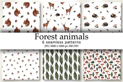 Forest Animals Watercolor Graphic by an_chubenko · Creative Fabrica