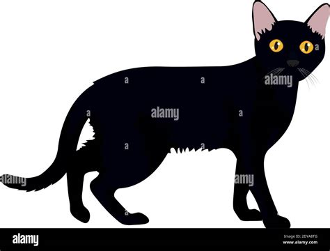 Cartoon Black Cat Walking