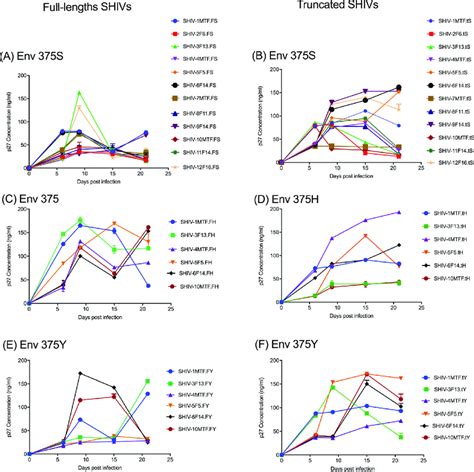 Replication Kinetics Of Newly Generated Shivs In Rhesus Macaque Pbmcs