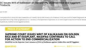 Supreme Court Issues Writ Of Kalikasan On Golden Rice And Bt Eggplant