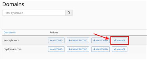 How To Add A TXT DNS Record In CPanel Ecenica