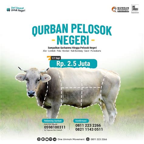 Jual Qurban Sapi 17 Pelosok Penyaluran Shopee Indonesia