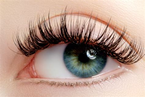 Eyes Eyelash Lash Hd Wallpaper Rare Gallery