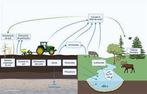 Missions Dammoniac Agriculture Canada Ca