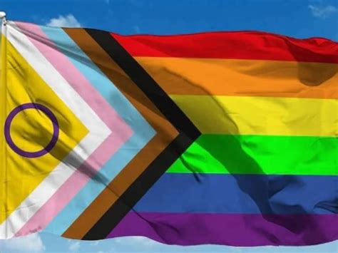 Nova bandeira LGBTQIA conheça o significado das cores