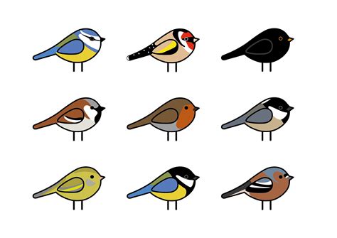 British Garden Birds Illustration Print Etsy Uk