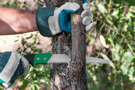 What Is A Pruning Saw The Key To Making A Perfect Cut Flashy House