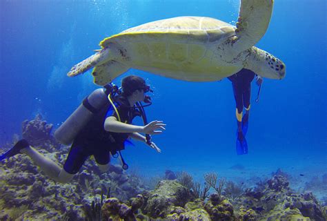 Bottled diving Nosy Be - Madagascar - Adventure Blue Vision Dive Center ...