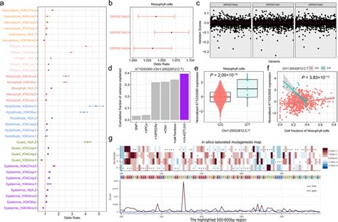 Cis Eqtlsci Play Important Roles In The Regulation Of Gene Download Scientific Diagram