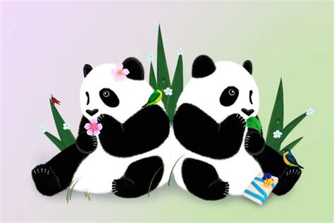 ᐈ Osos panda enamorados imágenes de stock fotos osos panda enamorados