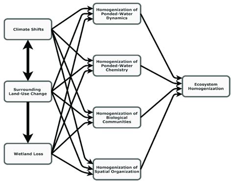 Conceptual Model Indicating Hypothesized Connections Between Climate Download Scientific