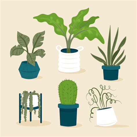 Free Vector Organic Flat Houseplant Collection