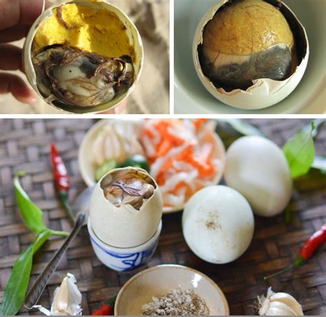 Have You Ever Eaten Fertilized Duck Eggs Hột Vịt Lộn Balut