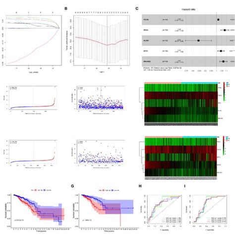 Prognosis Of 5 Genetic Characteristic Models In Training And Testing