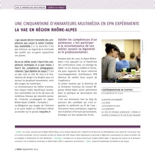 Animateurs Epn Professionnalisez Vous Via Une Vae Pdf