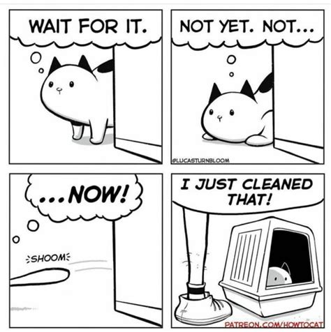 30 Funny Comics Every Cat Owner Can Purr-fectly Relate To | DeMilked