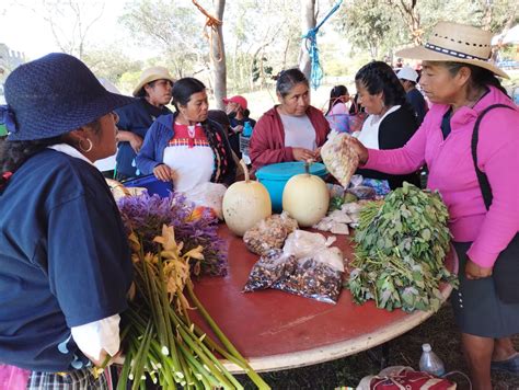 Aprovechan T Cnicas Ancestrales Para Producir El Campo En La Mixteca