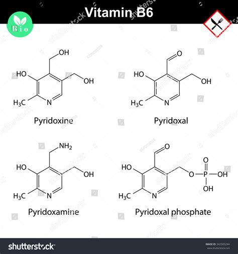 Chemical Structures Of Vitamin B Forms Royalty Free Stock Vector