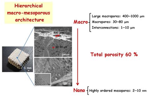 Pharmaceutics Free Full Text Achievements In Mesoporous Bioactive Glasses For Biomedical