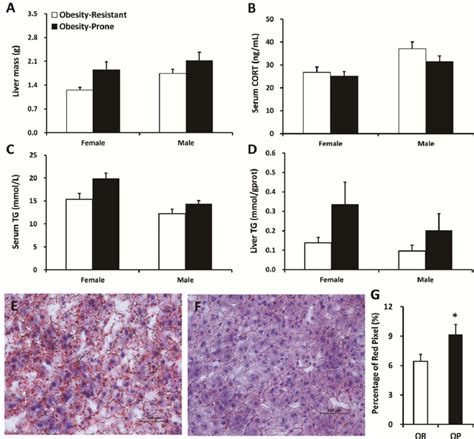 A Liver Mass B Serum Cort And C Serum And D Liver Tg