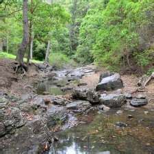 Mount Coot Tha Forest Park Sir Samuel Griffith Dr Mount Coot Tha