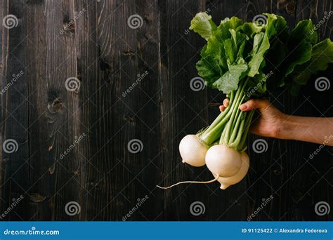 Organic Vegetables Hands Holding Fresh Turnip Stock Photo Image Of